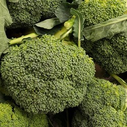 Broccoli Calabrese Natalino EKO