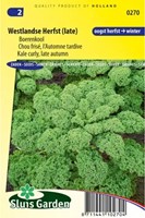 Kale Westland Autunno (tardivo)-2
