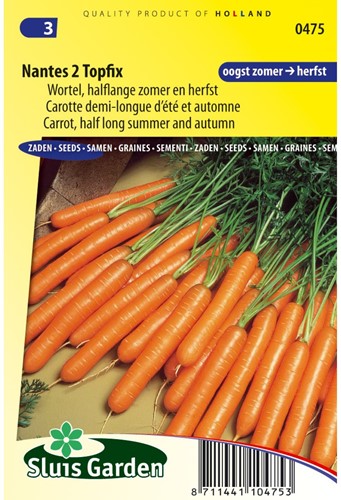 Carota estiva ‘Nantes 2 Topfix’ (Daucus Carota)-2