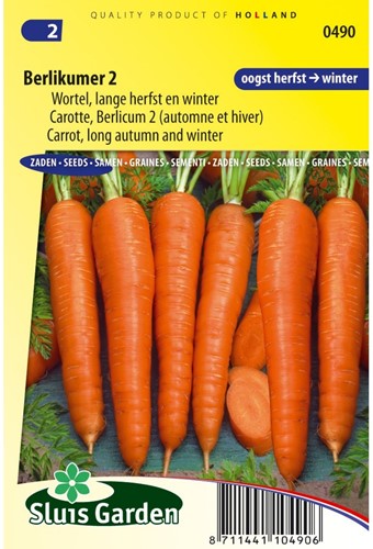 Carota autunnale ‘Berlikummer 2’ (Daucus Carota)-2