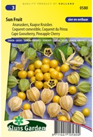 Alchechengio peruviano - Physalis peruviana-2