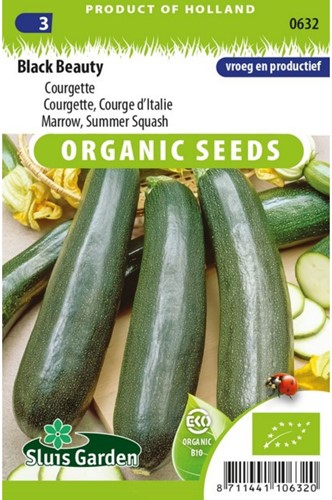 Courgette Black Beauty EKO-2