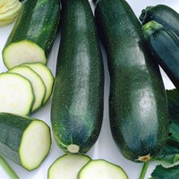 Zucchina 'Black Beuty' EKO (sementi biologici)