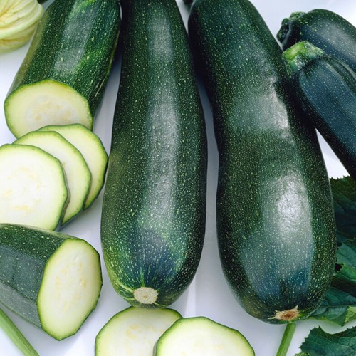 Zucchina 'Black Beuty' EKO (sementi biologici)