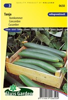 Cetriolo Tanja-2