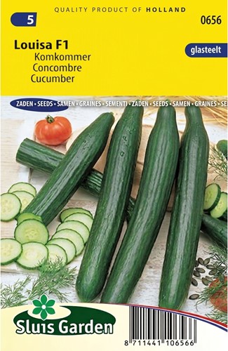 Komkommer Louisa F1 - Cucumis Sativus-2