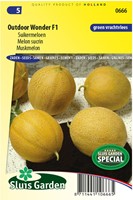 Melone Outdoor Wonder F1 (Cucumis Melo)-2