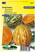 Melone Arancione Ananas-2