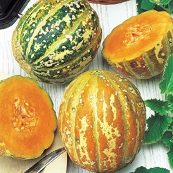 Melone Arancione Ananas