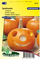 Zucca Spooktacular - Cucurbita-2