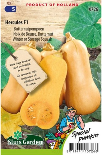 Butternutpompoen Hercules F1-2