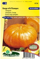 Zucca 'Rouge Vif d'Etampes'-2