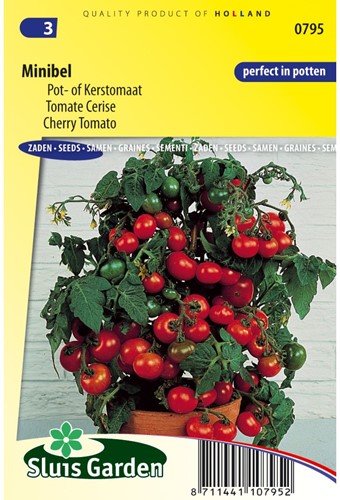 Pomodoro MINIBEL-2