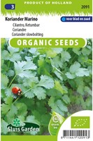 Koriander Marino - Coriandrum sativum EKO-2