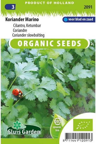 Coriandolo Marino - Coriandrum sativum EKO-2