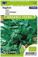 Levistico, Sedano del Monte EKO - Levisticum Officinalis-2
