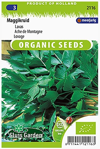 Levistico, Sedano del Monte EKO - Levisticum Officinalis-2