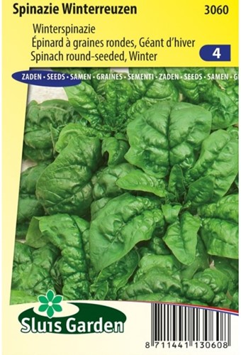 Spinaci Winterreuzen - Spinacio invernale-2
