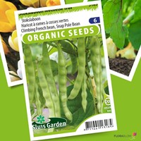 Fagiolo rampicante Mechelse Tros BIO - Phaseolus vulgaris-2