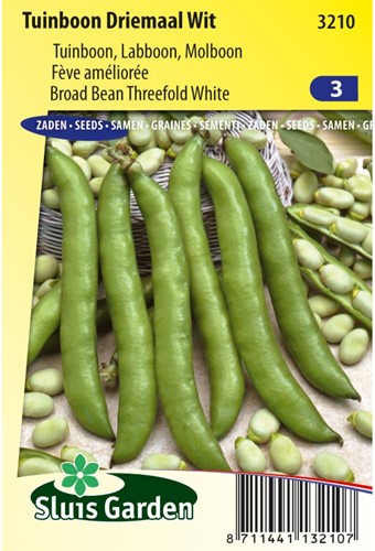 Tuinboon Driemaal Wit-2