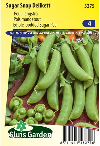 Peul Sugar Snap Delikett - Pisum sativum-2