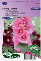 Stokroos Antwerp Stars enkelbloemige mix - Alcea ficifolia-2