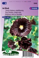 Malvone 'Jet Black' singolo fiore (Alcea Rosea)-2
