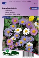 Aster rimanente (astro alpino) misto-2