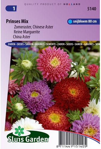 Astro cinese 'Principessa' Mix (Aster estivo)-2