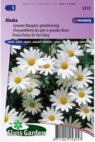Margriet Alaska - Chrysanth-2