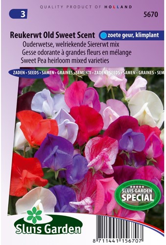 Assortimento semi Cicerchia 'Bijou' (Lathyrus)-2