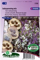 Monete del papa - Lunaria-2