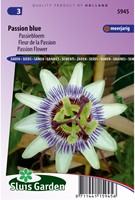 Passiflora Passion Blue-2