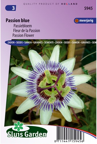 Passiflora Passion Blue-2