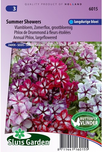 Flox 'Summer Showers' Mix - Phlox-2