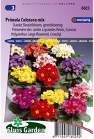 Primula Colossea Mix (Sleutelbloem)-2