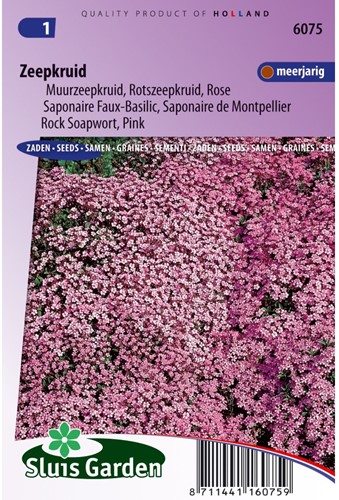 Zeepkruid Rose-Pink - Saponaria-2