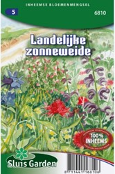 Selezione semi di fiori per campagna soleggiata – Miscuglio di fiori selvatici autoctoni