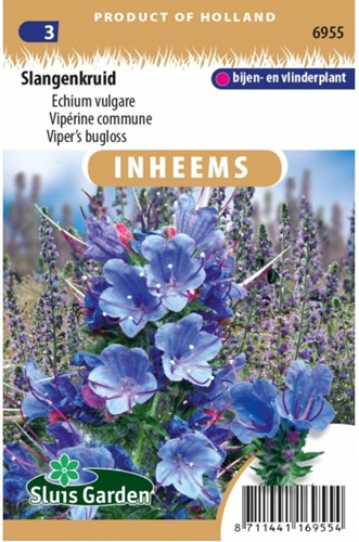 Slangenkruid - Echium vulgare