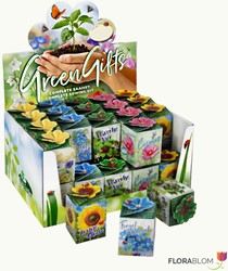 Scattole regalo assortite 40 pezzi in espositore Greengift
