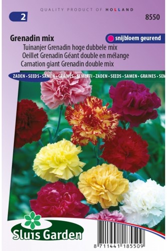 Garofano Grenadin Mix – Dianthus Caryophyllus Grenadin