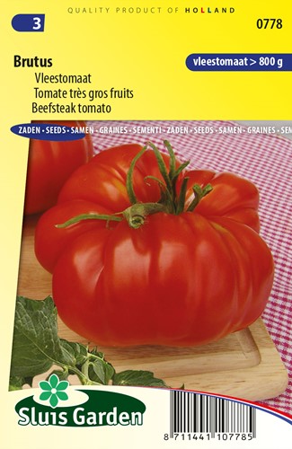 Pomodoro da insalata Brutus - Lycopersicon