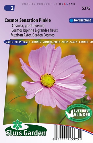 Cosmea Sensation Pinkie - Cosmos bipinnatus