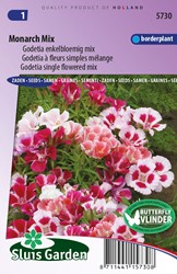 Godetia Monarch mix - Clarkia amoena
