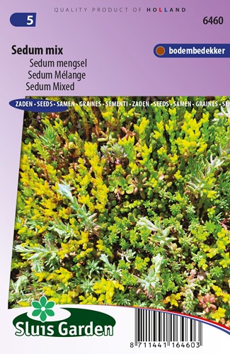 Sedum Mix - Borracina