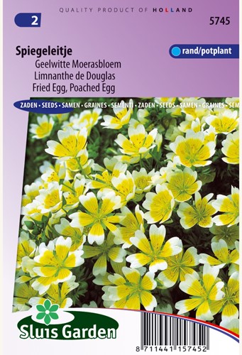 Specchio Breeze, Giallo meadowfoam bianco