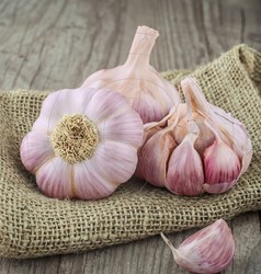 Aglio Rosa