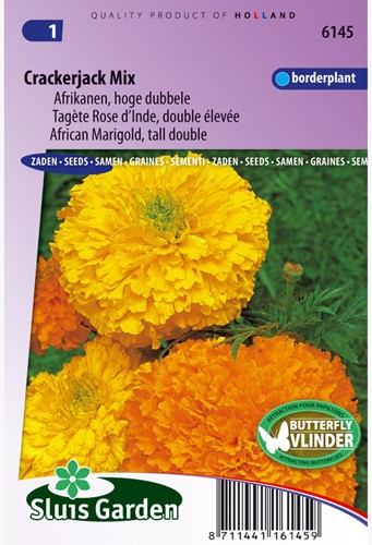 Tagete Crackerjack Mix – Tagetes
