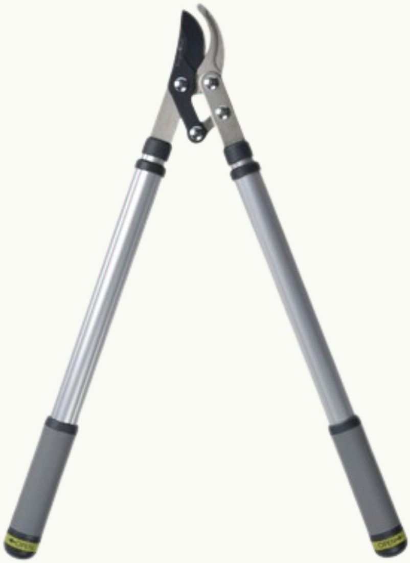 Spear & Jackson 8081RS Vlijmscherpe telescopische aambeeldtakkenschaar