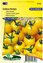 Pomodoro giallo Goldene Königin